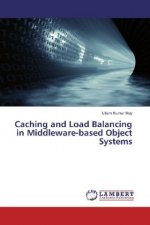 Caching and Load Balancing in Middleware-based Object Systems