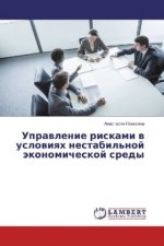 Upravlenie riskami v usloviyah nestabil'noj jekonomicheskoj sredy