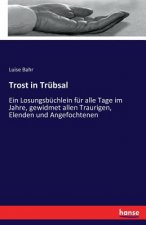 Trost in Trubsal