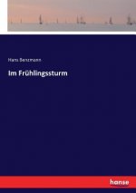 Im Fruhlingssturm