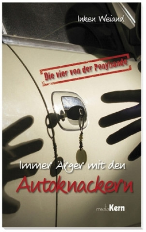 Immer Ärger mit den Autoknackern