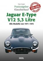 Praxisratgeber Klassikerkauf Jaguar E-Type V12 5,3 Litre