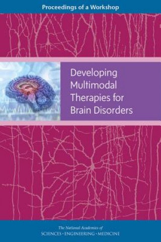 Developing Multimodal Therapies for Brain Disorders: Proceedings of a Workshop