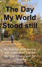 Day My World Stood Still