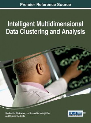 Intelligent Multidimensional Data Clustering and Analysis
