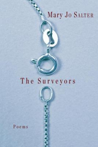 Surveyors
