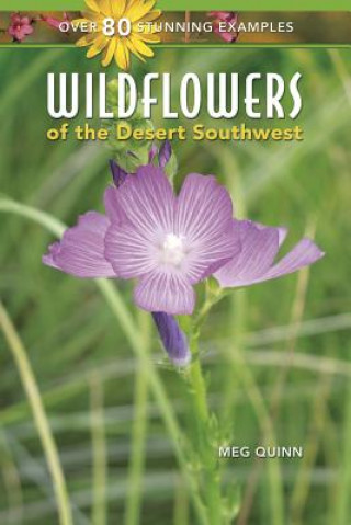 WILDFLOWERS OF THE DESERT SOUT