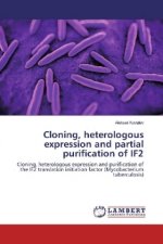 Cloning, heterologous expression and partial purification of IF2