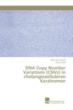 DNA Copy Number Variations (CNVs) in cholangiozellularen Karzinomen