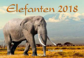 Elefanten 2018