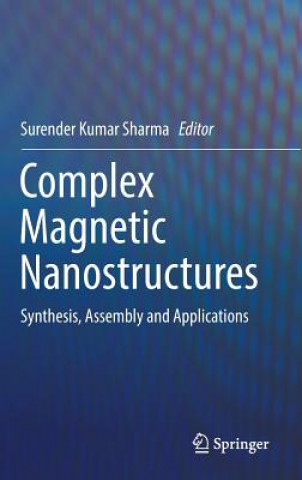 Complex Magnetic Nanostructures