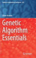Genetic Algorithm Essentials