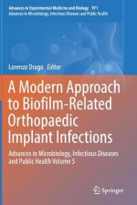 Modern Approach to Biofilm-Related Orthopaedic Implant Infections