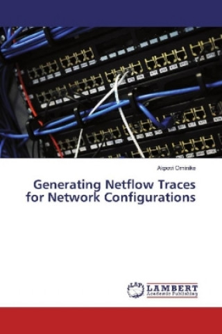Generating Netflow Traces for Network Configurations