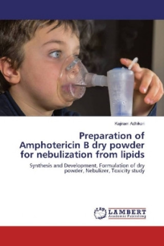 Preparation of Amphotericin B dry powder for nebulization from lipids