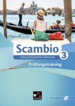Scambio B Prüfungstraining 3, m. 1 CD-ROM, m. 1 Buch
