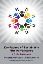 Key Factors of Sustainable Firm Performance