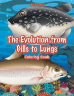 Evolution from Gills to Lungs Coloring Book