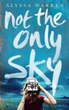 Not The Only Sky