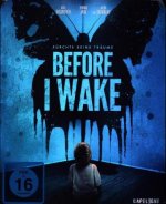 Before I Wake