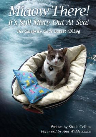 Miaow There! It's Still Misty Out At Sea!
