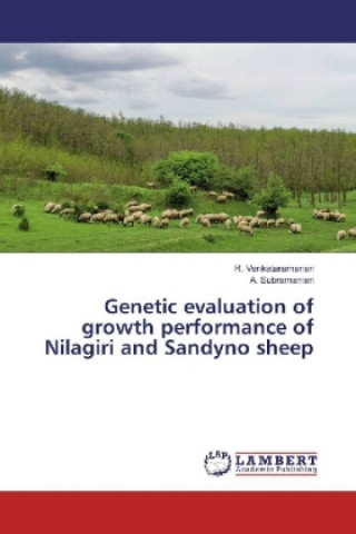 Genetic evaluation of growth performance of Nilagiri and Sandyno sheep