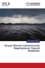 Sosyal Hizmet Uzmanlarinda Depresyonun Yapisal Nedenleri