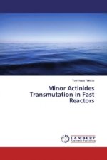 Minor Actinides Transmutation in Fast Reactors