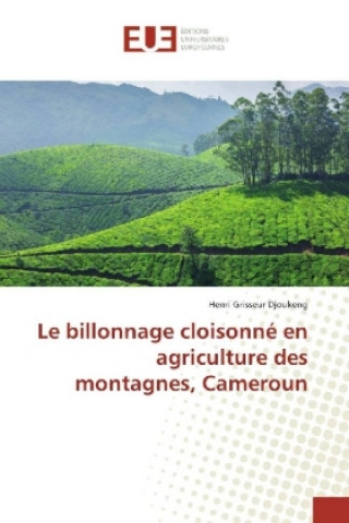 Le billonnage cloisonné en agriculture des montagnes, Cameroun