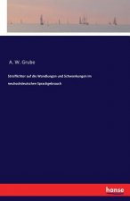 Streiflichter auf die Wandlungen und Schwankungen im neuhochdeutschen Sprachgebrauch