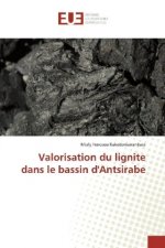 Valorisation du lignite dans le bassin d'Antsirabe