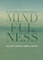 Il piccolo libro della mindfulness