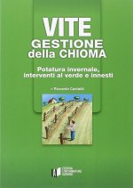 Vite. Gestione della chioma. Potatura invernale, interventi al verde e innesti