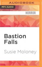 BASTION FALLS                M