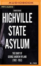 HIGHVILLE STATE ASYLUM       M