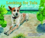 LOOKING FOR TULA