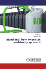 Bioethanol from xylose: an ecofriendly approach