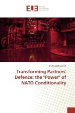 Transforming Partners' Defence