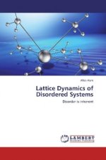 Lattice Dynamics of Disordered Systems