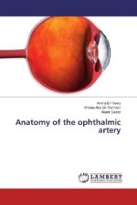 Anatomy of the ophthalmic artery