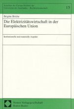 Die Elektrizitätswirtschaft in der Europäischen Union