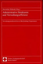 Administrative Strukturen und Verwaltungseffizienz