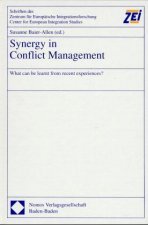 Synergy in Conflict Management