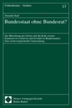 Bundesstaat ohne Bundesrat?