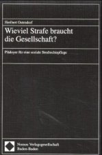 Wieviel Strafe braucht die Gesellschaft?