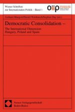 Democratic Consolidation
