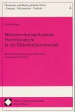 Wettbewerbsbegründende Durchleitungen in der Elektrizitätswirtschaft