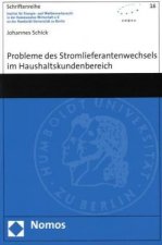 Probleme des Stromlieferantenwechsels im Haushaltskundenbereich