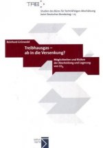 Treibhausgas - ab in die Versenkung?