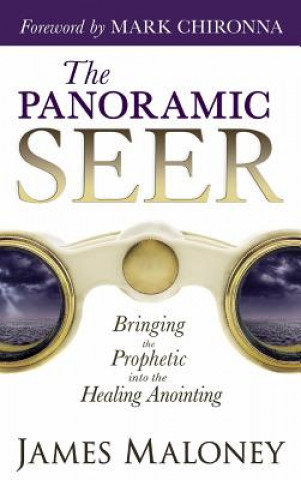 Panoramic Seer